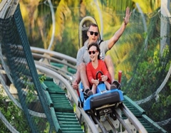 TOUR 4 - TOUR CHINH PHỤC ĐỈNH LANGBIANG  THÁC DATANLA  CRAZY HOUSE