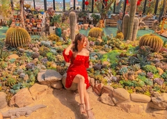 TOUR THAM QUAN NHA TRANG - ĐÀ LẠT 4 NGÀY 3 ĐÊM...GIẢM NGAY 30%
