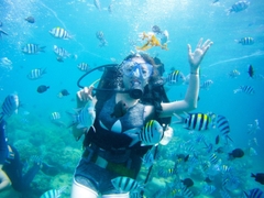 TOUR THAM QUAN NHA TRANG - ĐÀ LẠT 4 NGÀY 3 ĐÊM...GIẢM NGAY 30%