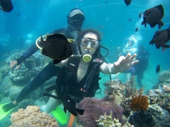 TOUR THAM QUAN NHA TRANG - ĐÀ LẠT 4 NGÀY 3 ĐÊM...GIẢM NGAY 30%
