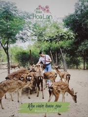 TOUR  ĐẢO KHỈ - SUỐI HOA LAN KHÁM PHÁ VỊNH NHA PHU