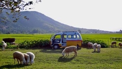 TOUR HANG RÁI VĨNH HY – THIÊN ĐƯỜNG SỐNG ẢO ( Giảm Ngay 15% )