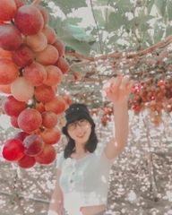 TOUR 3 NGÀY 2 ĐÊM - KHÁM PHÁ TP BIỂN NHA TRANG ( Giảm Ngay 20% , Hành Trình Hấp Dẫn Khám Phá Hang Rái Vườn Nho - Vịnh Nha Trang)