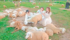 TOUR HANG RÁI VĨNH HY – THIÊN ĐƯỜNG SỐNG ẢO ( Giảm Ngay 15% )
