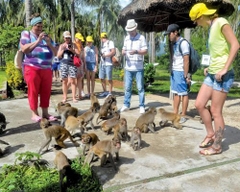 TOUR  ĐẢO KHỈ - SUỐI HOA LAN KHÁM PHÁ VỊNH NHA PHU