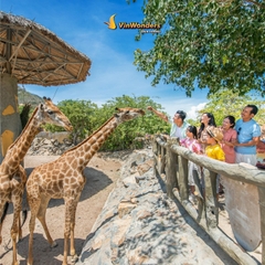 TOUR 3 NGÀY 2 ĐÊM - KHÁM PHÁ THÀNH PHỐ BIỂN NHA TRANG ( Giảm 20% Hành Trình Hấp Dẫn )