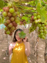 TOUR 3 NGÀY 2 ĐÊM - KHÁM PHÁ TP BIỂN NHA TRANG ( Giảm Ngay 20% , Hành Trình Hấp Dẫn Khám Phá Hang Rái Vườn Nho - Vịnh Nha Trang)