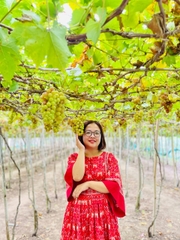 TOUR HANG RÁI VĨNH HY – THIÊN ĐƯỜNG SỐNG ẢO ( Giảm Ngay 15% )