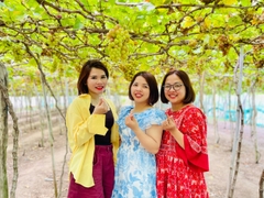 TOUR HANG RÁI VĨNH HY – THIÊN ĐƯỜNG SỐNG ẢO ( Giảm Ngay 15% )