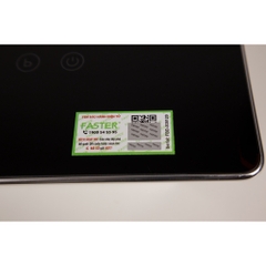 Bếp từ đôi Faster 389i