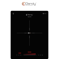Bếp điện từ cao cấp DY-100
