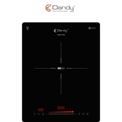 Bếp điện từ cao cấp DY-100