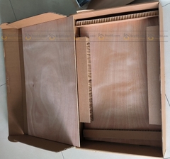 Bếp từ đôi Faster FS 836G - Germany