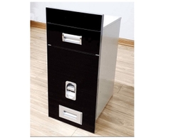 Thùng gạo mặt gương màu đen Eurogold - GB309B