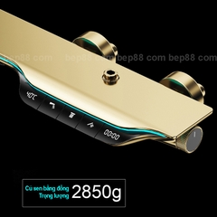 Sen cây phím đàn , sen cây hiển thị nhiệt độ làm từ đồng thau nguyên khối củ nặng 2,8kg