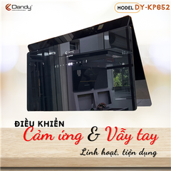 Máy hút khói khử mùi cao cấp DANDY DY-KP652_KP659