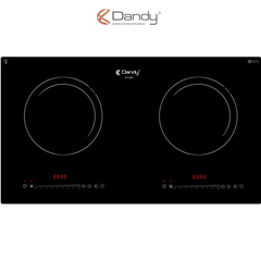 Bếp điện từ cao cấp DY-3001