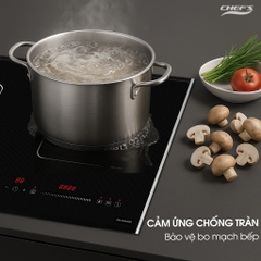BẾP TỪ CHEFS EH DIH320