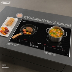 BẾP TỪ CHEFS EH DIH320