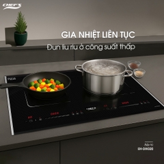 BẾP TỪ CHEFS EH DIH320