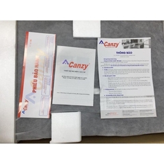 Bếp từ đôi Canzy 06i