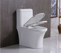 Bồn Cầu Liền Khối BC 802
