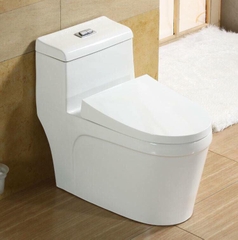 Bồn Cầu Liền Khối BC 808