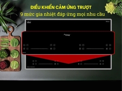 Bếp từ Canzy CZ I36912C