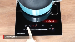 Bếp từ Domino Canzy CZ EU66HOB