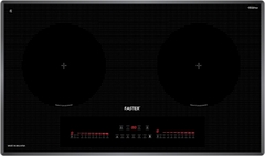 Bếp Từ Đôi Faster FS 828i