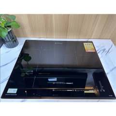 Bếp điện từ Dandy DY-T6305