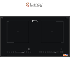 Bếp điện từ cao cấp DY-M4042
