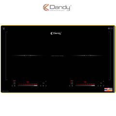Bếp điện từ cao cấp DY-T602