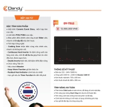 Bếp từ đôi Dandy DY T512