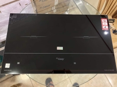 Bếp từ Canzy CZ ML123HN