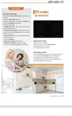 Bếp từ đôi Dandy DY 700T