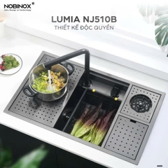 Chậu rửa bát NoBiNox  NJ510B