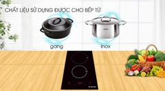 Bếp từ MALLOCA MDH-02I