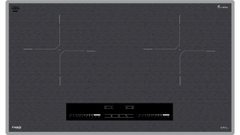 Bếp từ Fandi FD-999 PLUS