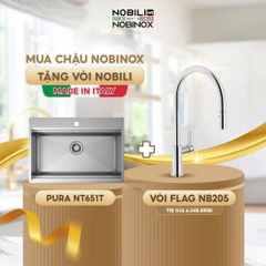 Chậu rửa bát NoBiNox NT651T