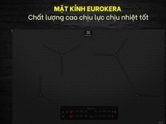 Bếp từ Electrolux EHI845BB