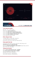 Bếp Từ Canzy CZ VNH268