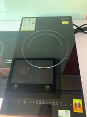 Bếp từ Faster  FS 113DI