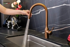 VÒI RỬA BÁT DÂY RÚT NOBINOX AQUA NX662T