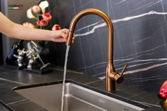 VÒI RỬA BÁT DÂY RÚT NOBINOX AQUA NX662T