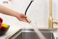 VÒI RỬA BÁT DÂY RÚT NOBINOX AQUA NX663V