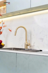 VÒI RỬA BÁT DÂY RÚT NOBINOX AQUA NX663V