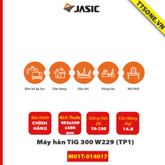 Máy Hàn TIG 300 W229 (TP2) - Chính Hãng