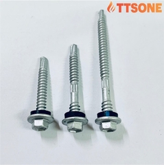 VÍT BẮN TÔN (Thông Thường)