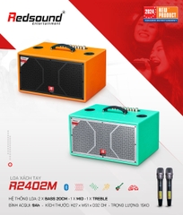 Loa xách tay Redsound R2402M